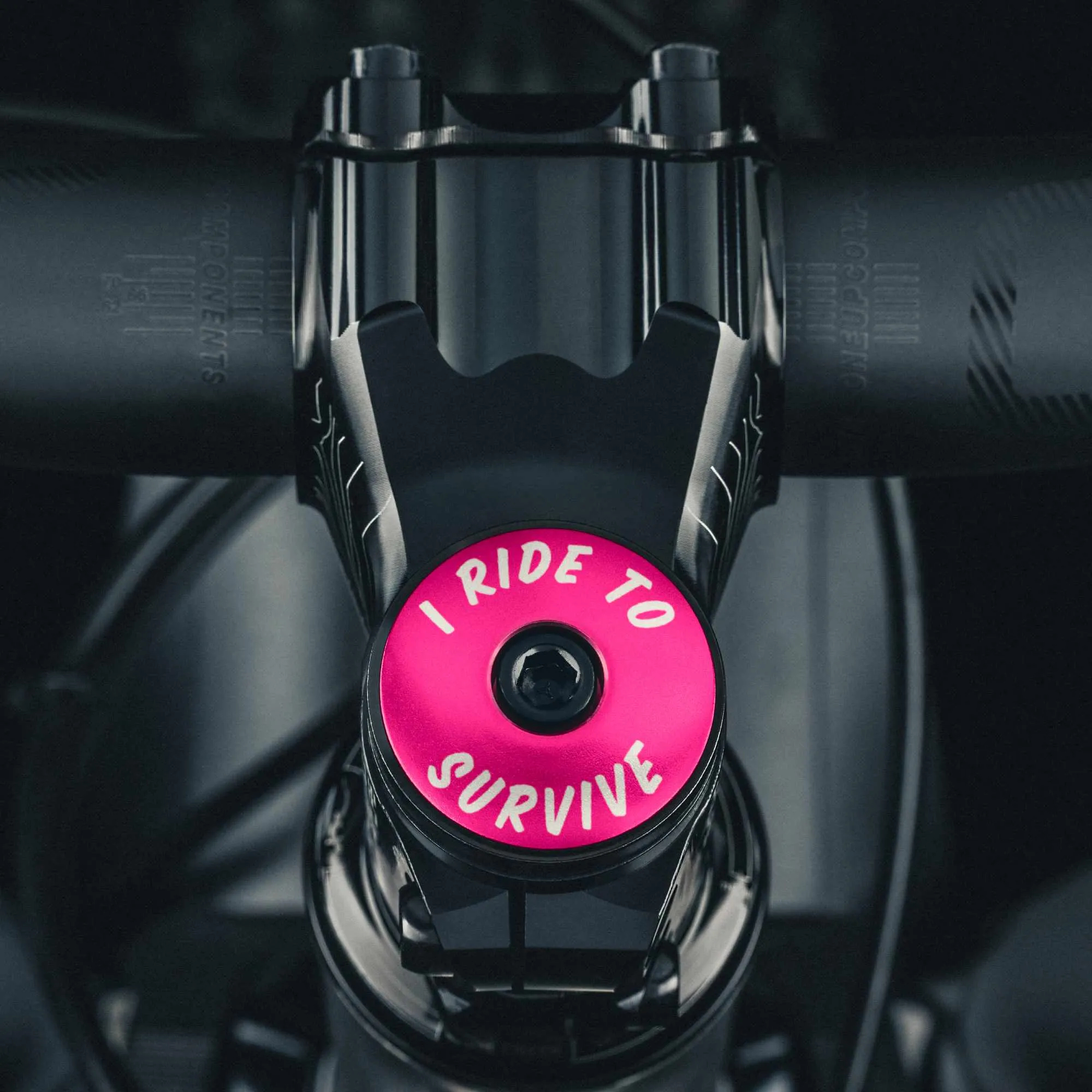 Custom Text Breast Cancer Pink Bicycle Headset Cap