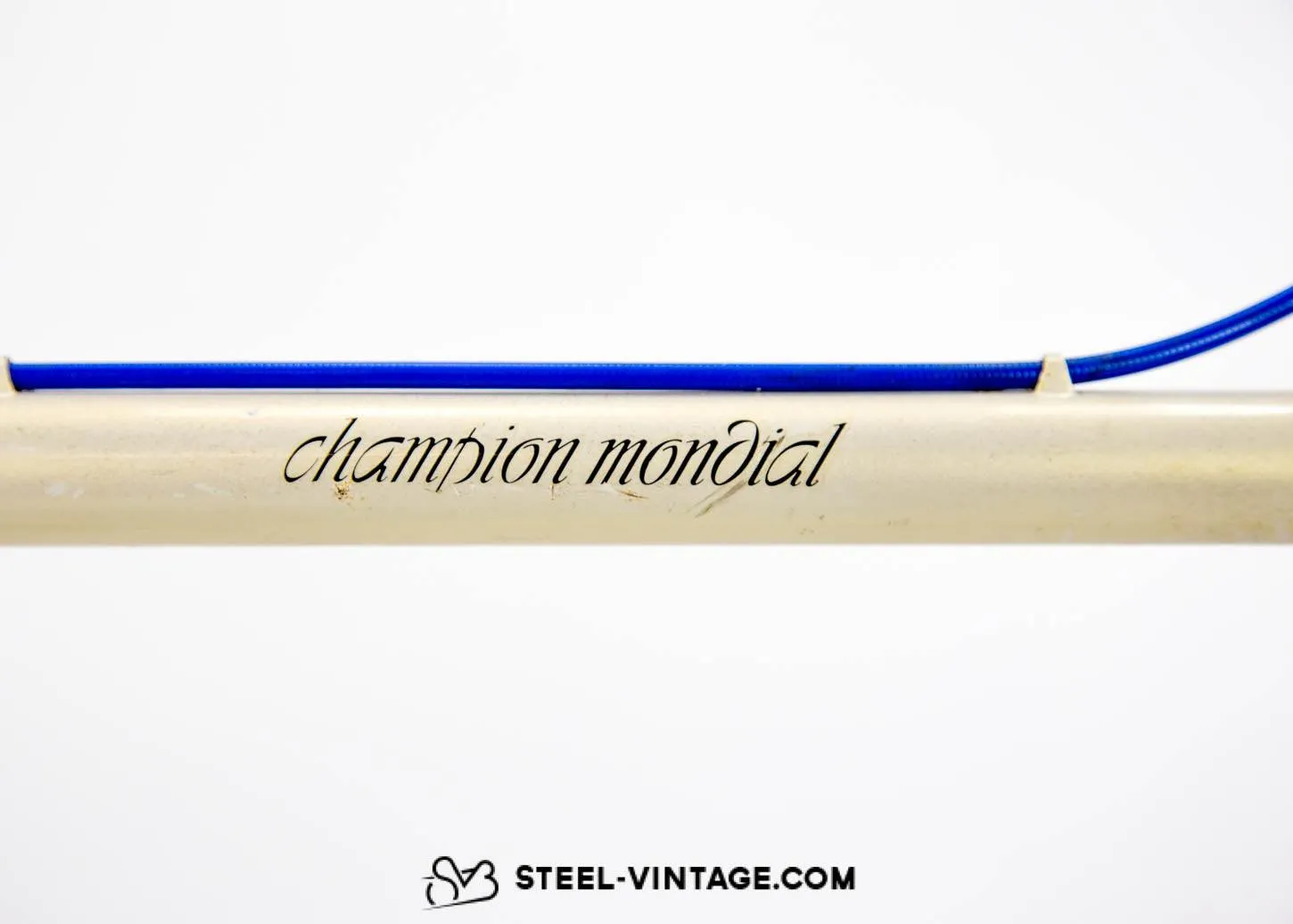 Gazelle AA Team Campagnolo Coloured Bike 1979