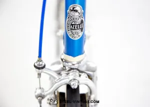 Gazelle AA Team Campagnolo Coloured Bike 1979