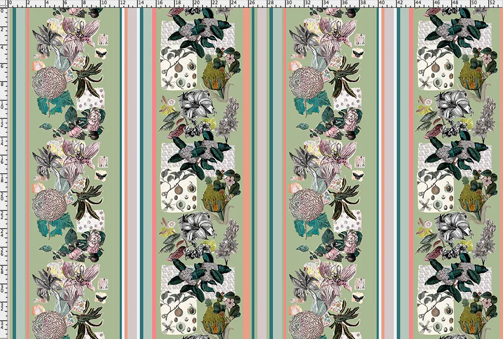 Suwannee Stripe, Collard