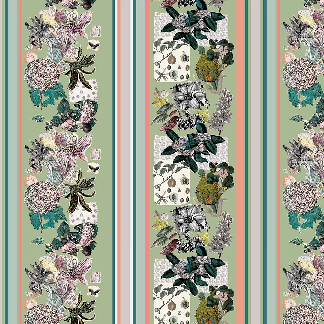 Suwannee Stripe, Collard
